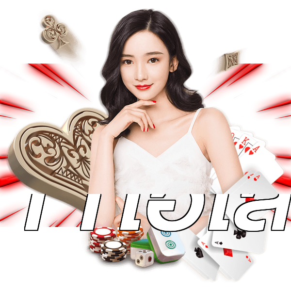 11ไฮโล